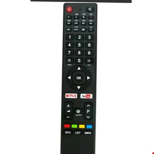 کنترل اصل شرکتی تلویزیون آیوا نایاب نتفیکس دار